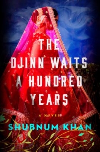 The Djinn Waits A Hundred Years by Shubnum Khan book cover