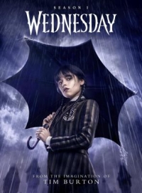 Wednesday season 1 cover photo