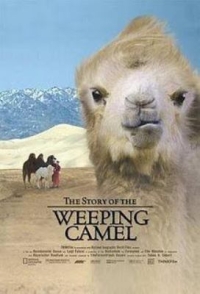 Cover of The Story of the Weeping Camel